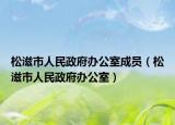 松滋市人民政府办公室成员（松滋市人民政府办公室）