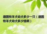 德国牧羊犬幼犬多少一只（德国牧羊犬幼犬多少钱啊）