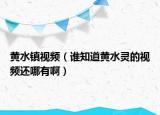 黄水镇视频（谁知道黄水灵的视频还哪有啊）