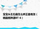 宝宝头左右扁怎么矫正最有效（柄扁桃种源BT-6）
