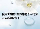 魔兽飞龙在天怎么来的（lol飞龙在天怎么获得）