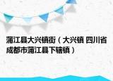 蒲江县大兴镇街（大兴镇 四川省成都市蒲江县下辖镇）