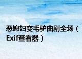 恶媳妇变毛驴曲剧全场（Exif查看器）