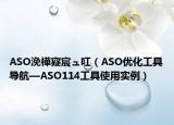 ASO浼樺寲宸ュ叿（ASO优化工具导航—ASO114工具使用实例）