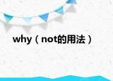 why（not的用法）