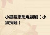 小狐狸报恩电视剧（小狐搜题）