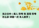 龙之谷中（废人 称号 和 至尊 称号怎么拿 详细一点 本人新手）