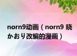 norn9动画（norn9 晓かおり改编的漫画）