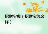 招财宝典（招财宝怎么样）