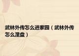 武林外传怎么进家园（武林外传怎么涅盘）