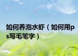 如何养泡水虾（如何用ps写毛笔字）