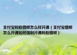 支付宝蚂蚁借呗怎么样开通（支付宝借呗怎么开通如何强制开通蚂蚁借呗）
