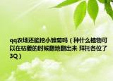 qq农场还能挖小雏菊吗（种什么植物可以在枯萎的时候翻地翻出来 拜托各位了 3Q）