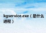 kgservice.exe（是什么进程）