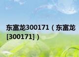 东富龙300171（东富龙[300171]）