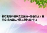 我吃西红柿星辰变后面的一部是什么（星辰变 我吃西红柿第三部长篇小说）