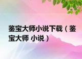 鉴宝大师小说下载（鉴宝大师 小说）