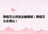 奥格怎么传送去幽暗城（奥格怎么去海山）