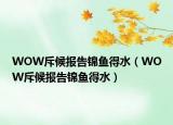WOW斥候报告锦鱼得水（WOW斥候报告锦鱼得水）