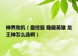 神界危机（最终版 隐藏英雄 龙王神怎么选啊）