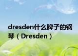 dresden什么牌子的钢琴（Dresden）