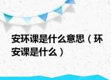 安环课是什么意思（环安课是什么）