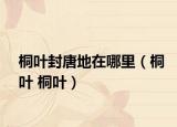 桐叶封唐地在哪里（桐叶 桐叶）