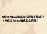 u盘变为raw格式怎么修复不格式化（U盘变为raw格式怎么修复）