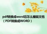 pdf转换成word后怎么编辑文档（PDF转换成WORD）
