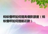 蚂蚁借呗如何提高借款额度（蚂蚁借呗如何提前还款）