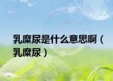 乳糜尿是什么意思啊（乳糜尿）