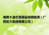 骞胯タ瀹忎笟鎶曡祫闆嗗洟（广西宏大集团有限公司）