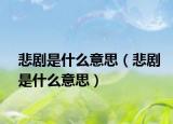 悲剧是什么意思（悲剧是什么意思）