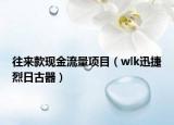 往来款现金流量项目（wlk迅捷烈日古器）