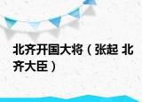 北齐开国大将（张起 北齐大臣）