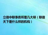 立信中联事务所是几大呀（联信天下是什么样的机构）