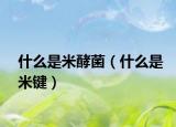 什么是米酵菌（什么是米键）