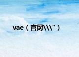 vae（官网\