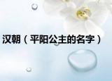 汉朝（平阳公主的名字）