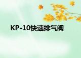 KP-10快速排气阀