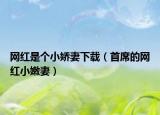 网红是个小娇妻下载（首席的网红小嫩妻）