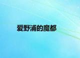 爱野浦的魔都