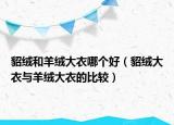 貂绒和羊绒大衣哪个好（貂绒大衣与羊绒大衣的比较）