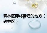 碑林区即将拆迁的地方（碑林区）