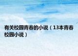 有关校园青春的小说（13本青春校园小说）