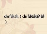 dnf泡泡（dnf泡泡企鹅）