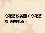 心花怒放美图（心花怒放 美国电影）