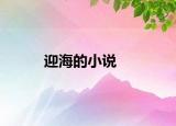 迎海的小说