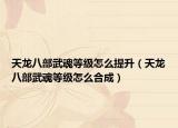 天龙八部武魂等级怎么提升（天龙八部武魂等级怎么合成）
