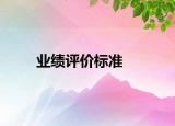 业绩评价标准